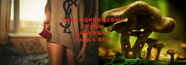 кокс Алзамай