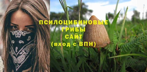 стафф Семикаракорск