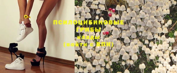 таблы Алексин