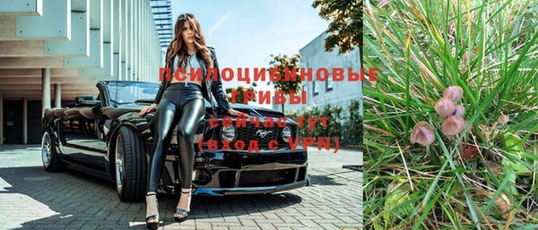 дурь Алексеевка