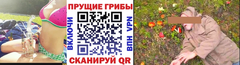 mega рабочий сайт  Бикин  Псилоцибиновые грибы MAGIC MUSHROOMS 